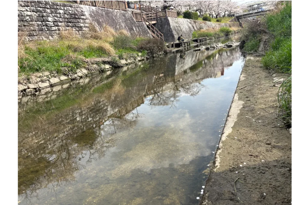 石造りの擁壁と木製の柵が並ぶ水路の表面。両岸には草が生い茂り、自然とインフラが共存する風景。