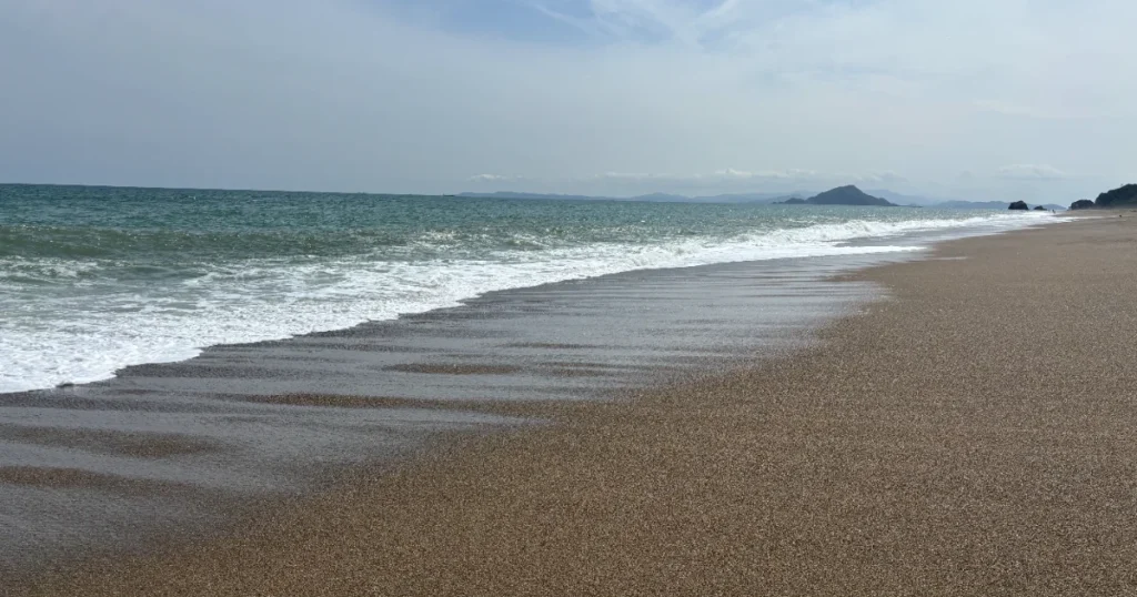 日本の愛知県、渥美半島の海岸の写真